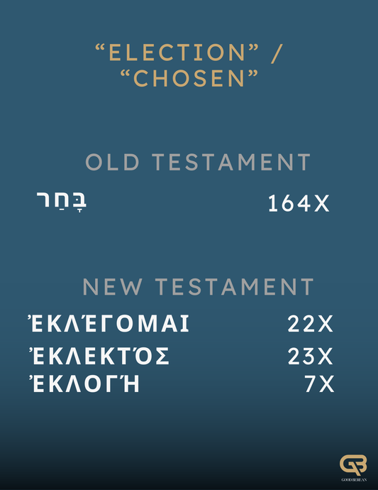 Election in the Bible: 53 Page Reference PDF